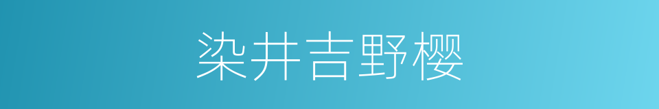 染井吉野樱的同义词