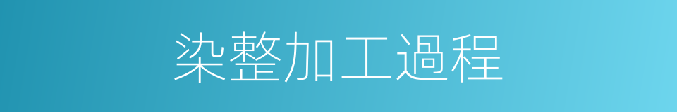 染整加工過程的同義詞