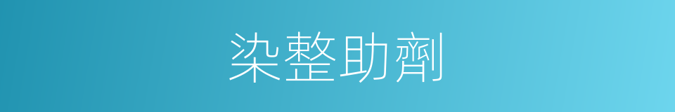 染整助劑的同義詞