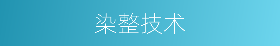染整技术的同义词