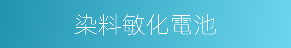 染料敏化電池的同義詞