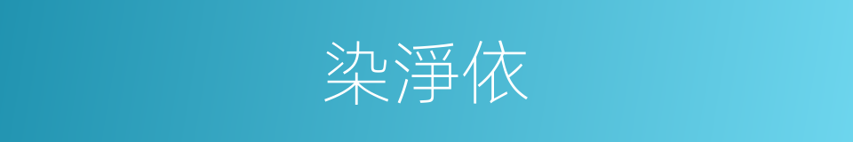 染淨依的同義詞