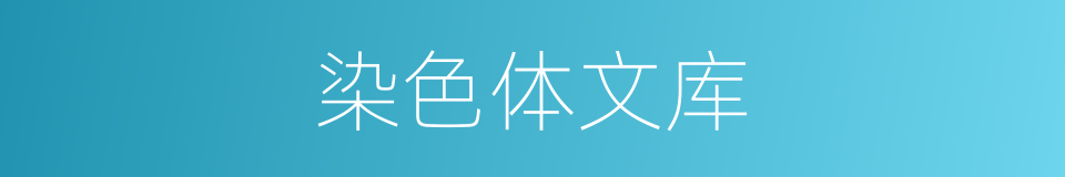 染色体文库的同义词