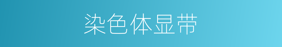 染色体显带的同义词