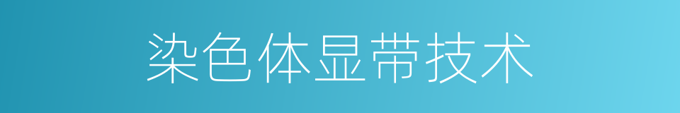 染色体显带技术的同义词