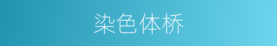 染色体桥的同义词