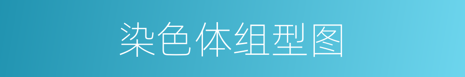 染色体组型图的同义词