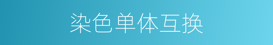 染色单体互换的同义词