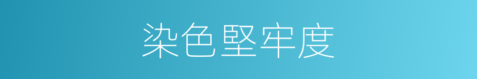 染色堅牢度的同義詞