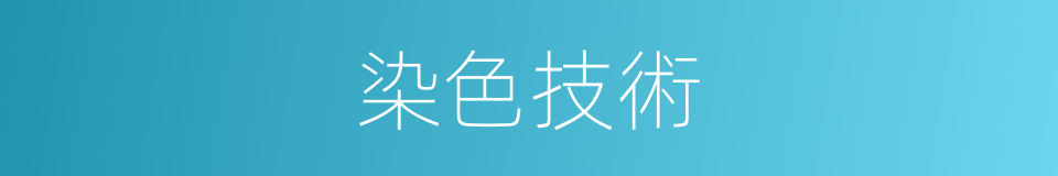 染色技術的同義詞