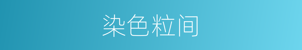 染色粒间的同义词
