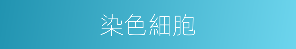 染色細胞的意思
