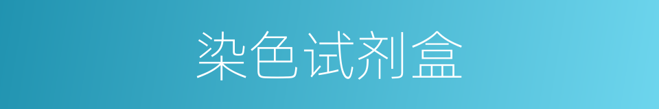 染色试剂盒的同义词