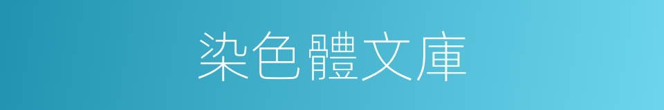 染色體文庫的同義詞
