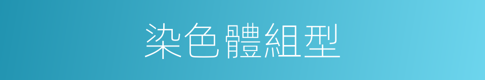 染色體組型的同義詞