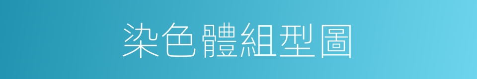 染色體組型圖的同義詞