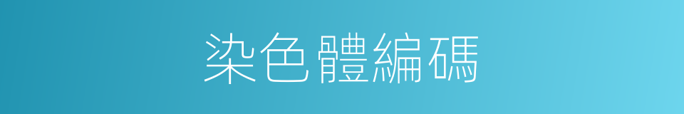 染色體編碼的同義詞