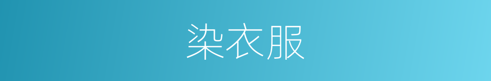 染衣服的同义词