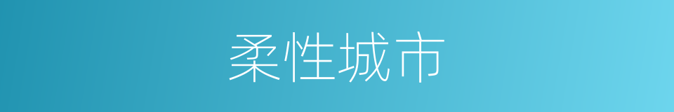 柔性城市的同义词