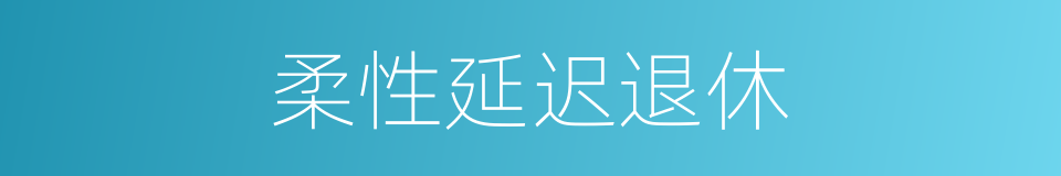柔性延迟退休的同义词