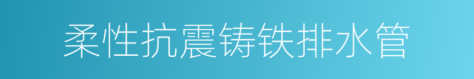 柔性抗震铸铁排水管的同义词