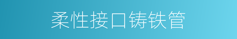 柔性接口铸铁管的同义词