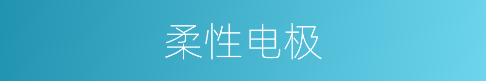 柔性电极的同义词