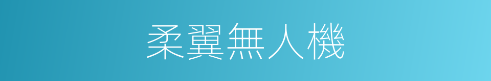 柔翼無人機的同義詞