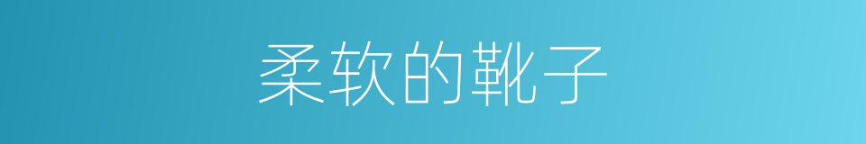 柔软的靴子的同义词