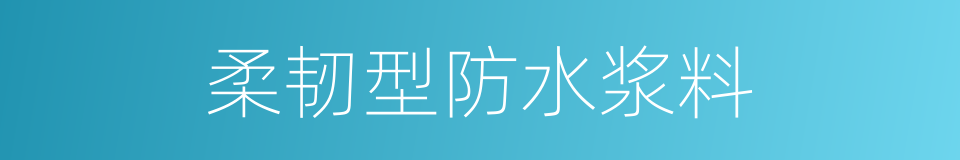 柔韧型防水浆料的同义词