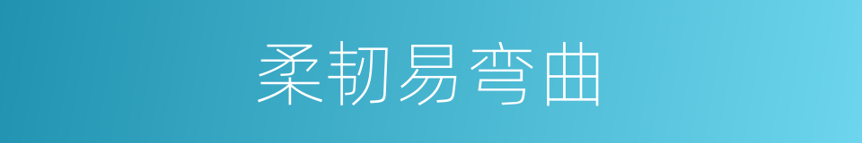 柔韧易弯曲的同义词