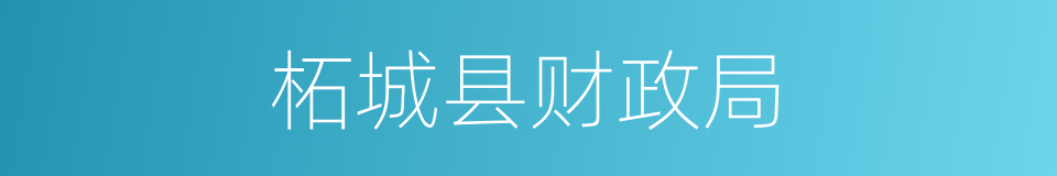 柘城县财政局的同义词