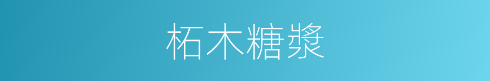 柘木糖漿的同義詞
