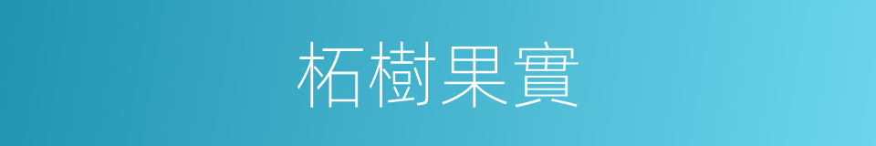 柘樹果實的同義詞