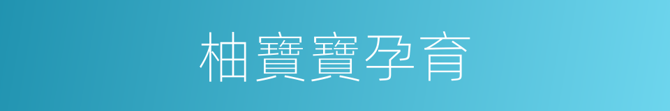 柚寶寶孕育的同義詞
