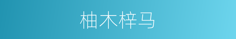 柚木梓马的同义词