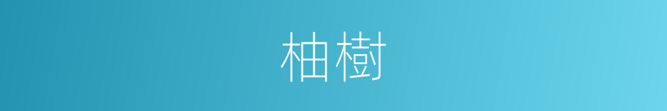 柚樹的同義詞