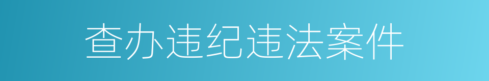 查办违纪违法案件的同义词