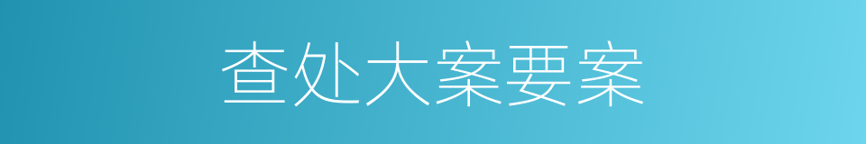 查处大案要案的同义词