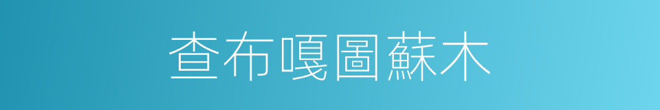 查布嘎圖蘇木的同義詞