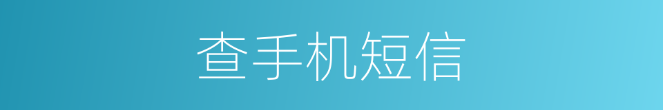 查手机短信的同义词