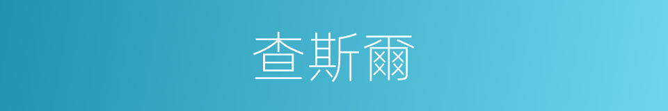 查斯爾的同義詞