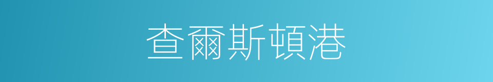查爾斯頓港的同義詞