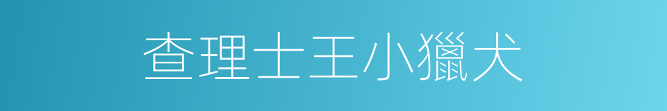查理士王小獵犬的同義詞