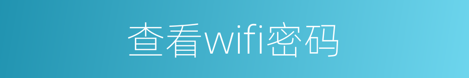 查看wifi密码的同义词