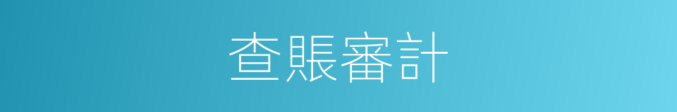 查賬審計的同義詞