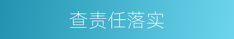 查责任落实的同义词