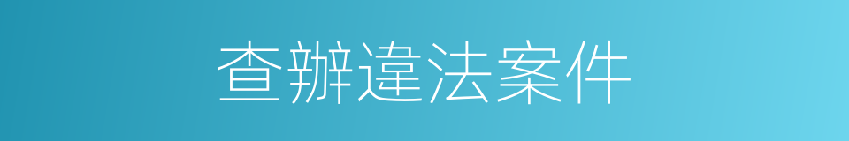 查辦違法案件的同義詞