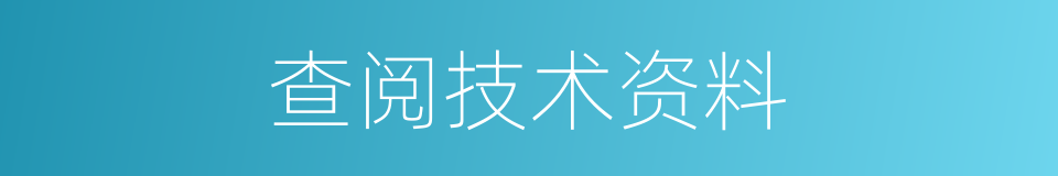 查阅技术资料的同义词