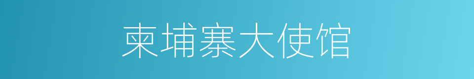 柬埔寨大使馆的同义词